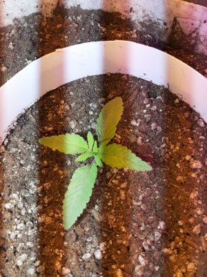 20221220_101044.jpg 20221220_101044.jpg