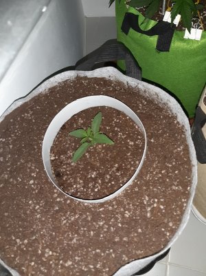 20221220_101031.jpg 20221220_101031.jpg