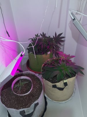 20221220_100309.jpg 20221220_100309.jpg