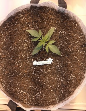 20221220_105405.jpg 20221220_105405.jpg