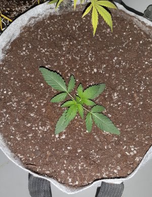 20221220_105257.jpg 20221220_105257.jpg