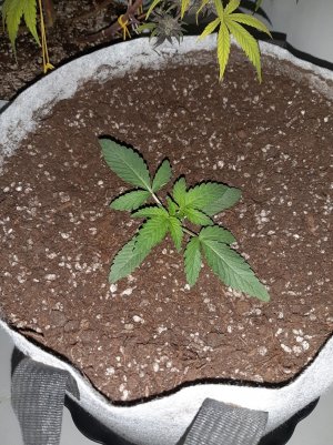 20221220_105237.jpg 20221220_105237.jpg