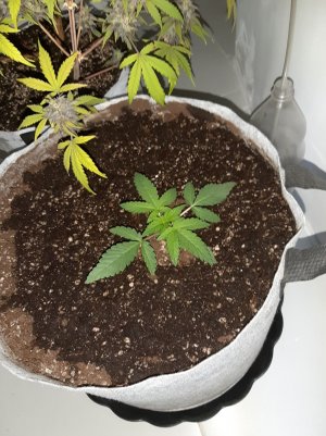 20221220_113549.jpg 20221220_113549.jpg