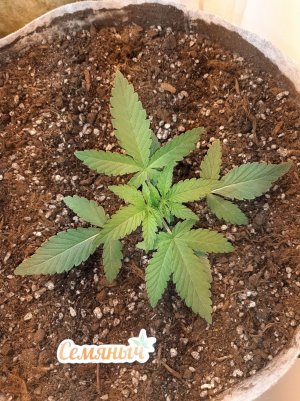 20221220_113516.jpg 20221220_113516.jpg