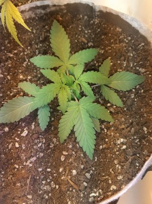 20221220_113436.jpg 20221220_113436.jpg