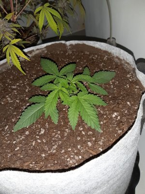 20221220_113403.jpg 20221220_113403.jpg