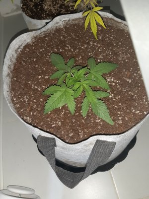 20221220_115438.jpg 20221220_115438.jpg