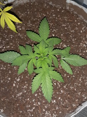 20221220_115351.jpg 20221220_115351.jpg