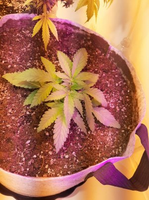 20221220_125818.jpg 20221220_125818.jpg