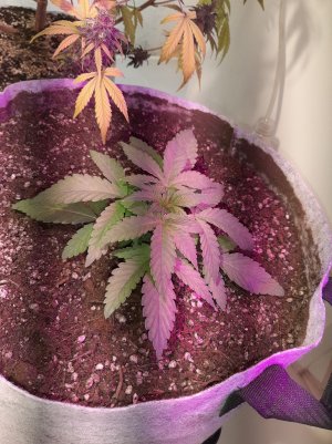 20221220_125805.jpg 20221220_125805.jpg