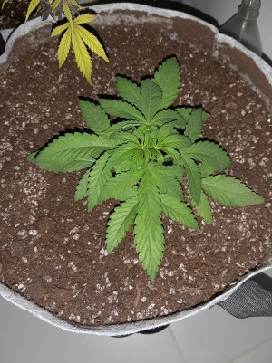 20221220_125753.jpg 20221220_125753.jpg