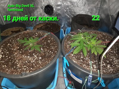 20221220_174823.jpg 20221220_174823.jpg