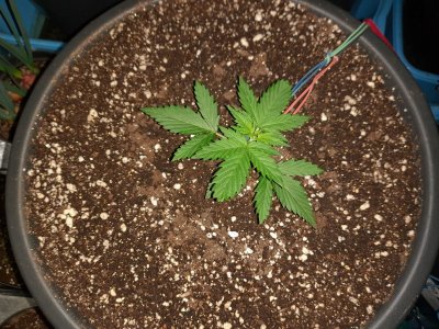 20221220_174812.jpg 20221220_174812.jpg