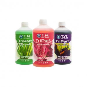 images.jpeg images.jpeg