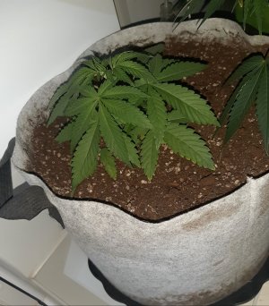 20221221_131618.jpg 20221221_131618.jpg