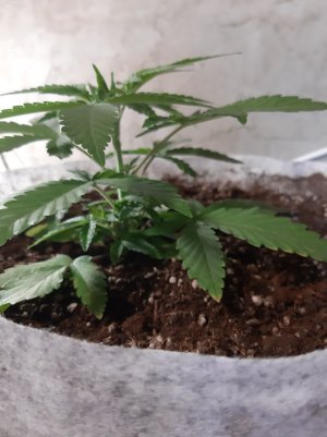 20221221_131534.jpg 20221221_131534.jpg