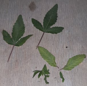 20221221_131514.jpg 20221221_131514.jpg