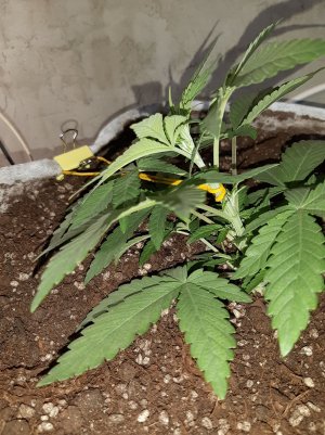 20221221_131420.jpg 20221221_131420.jpg