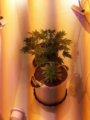 20221221_131355.jpg 20221221_131355.jpg