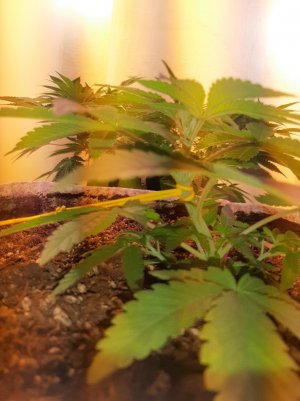 20221221_143029.jpg 20221221_143029.jpg