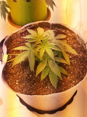 20221221_143043.jpg 20221221_143043.jpg