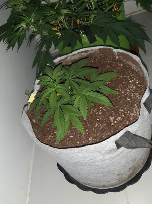 20221221_142922.jpg 20221221_142922.jpg