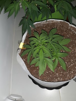 20221221_142911.jpg 20221221_142911.jpg