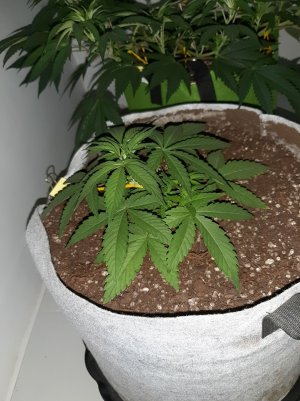 20221221_142858.jpg 20221221_142858.jpg