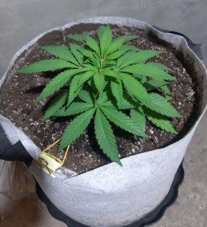 20221221_144622.jpg 20221221_144622.jpg