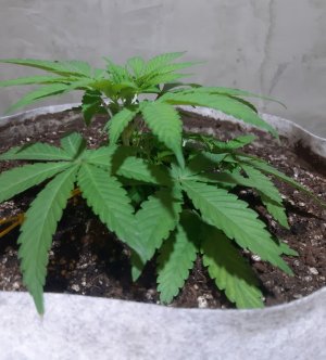 20221221_144605.jpg 20221221_144605.jpg