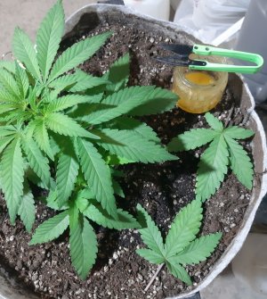 20221221_144517.jpg 20221221_144517.jpg