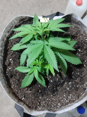 20221221_144432.jpg 20221221_144432.jpg