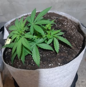 20221221_144357.jpg 20221221_144357.jpg