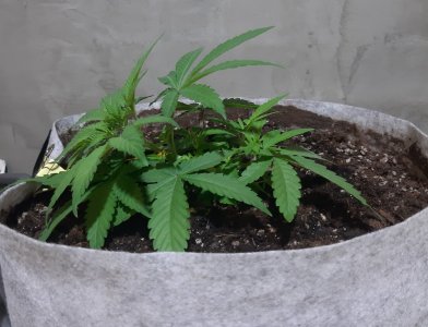 20221221_144413.jpg 20221221_144413.jpg