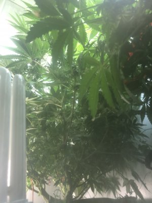 1076361E-E124-4490-98FB-727FCB8A4400.jpeg 1076361E-E124-4490-98FB-727FCB8A4400.jpeg