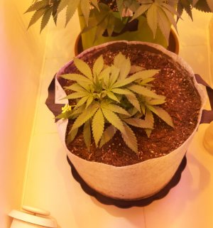 20221222_092801.jpg 20221222_092801.jpg