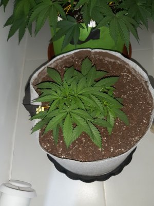 20221222_092742.jpg 20221222_092742.jpg