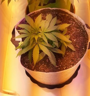 20221222_092729.jpg 20221222_092729.jpg