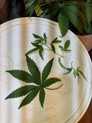 20221222_095450.jpg 20221222_095450.jpg