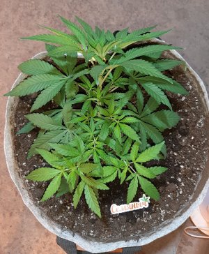 20221222_095341.jpg 20221222_095341.jpg