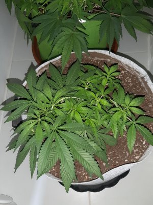 20221222_095243.jpg 20221222_095243.jpg