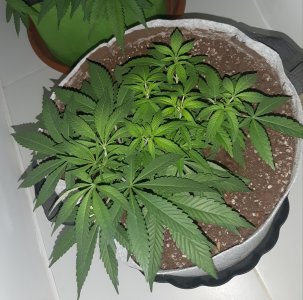 20221222_104213.jpg 20221222_104213.jpg