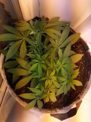 20221222_104119.jpg 20221222_104119.jpg