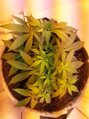 20221222_104054.jpg 20221222_104054.jpg