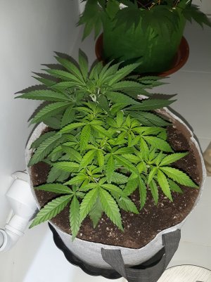 20221222_114522.jpg 20221222_114522.jpg