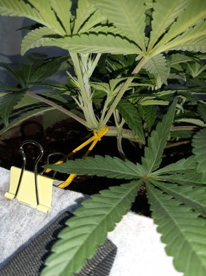 20221222_114500.jpg 20221222_114500.jpg