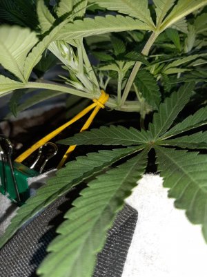 20221222_114446.jpg 20221222_114446.jpg