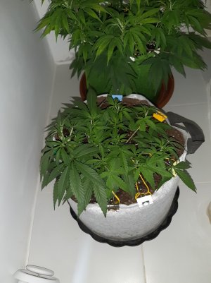 20221222_113941.jpg 20221222_113941.jpg