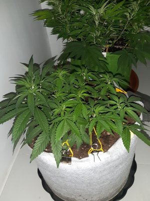 20221222_123630.jpg 20221222_123630.jpg