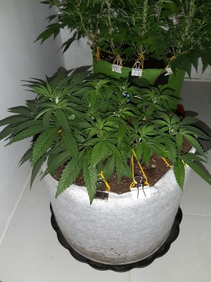 20221222_123556.jpg 20221222_123556.jpg